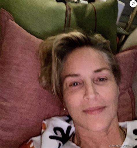 instagram sharon stone|sharon stone actress recent photos.